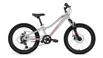 FORWARD TWISTER CX 20 10" 2026 серебристый, SPRT26F0087