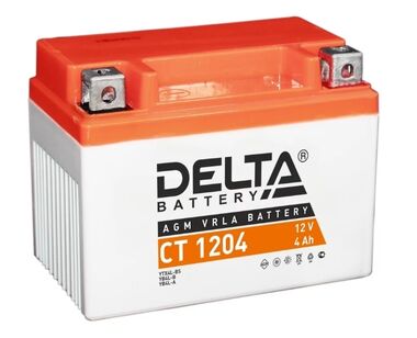 Аккумуляторная батарея Delta CT 1204 #0