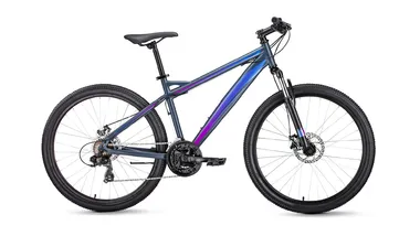 FORWARD FLASH 26 2.0 disc (26" 21 ск. рост 17") 2018-2019 (серый мат., RBKW9MN6Q022) #0
