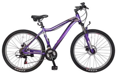 TECH TEAM ELIS 26 disc (26" 21 ск. рост 17") ALU, фиолетовый (NP001427)