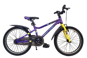 Велосипед TECH TEAM Drift 20 ALU (20" 1 ск.) фиолетовый (NN012334)