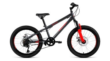 ALTAIR MTB HT 20 2.0 disc (2019, серый) #0