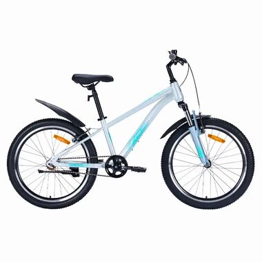 Велосипед TECH TEAM Calibri 24 disc (24" 1 ск. рост 12") ALU, серебряный (NN013440)