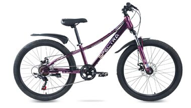 Велосипед TECH TEAM SPECTRA 20 disc (20" 7 ск. рост 10") фиолетовый, NN012927