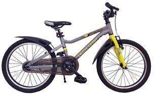 Велосипед TECH TEAM Drift 20 ALU (20" 1 ск.) серый (NN012333)