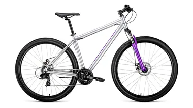 FORWARD SPORTING 29 2.0 disc (29" 21 ск. рост 17") 2018-2019 (серый, RBKW9MN9Q006) #0