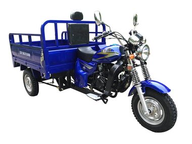 Трицикл ZIP MOTORS Triton 200 (синий) #0