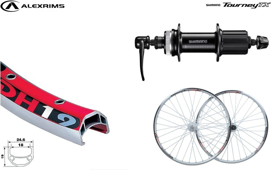 Колесо в сборе 26" заднее, алюминиевая втулка SHIMANO TX-505R, дисковая (Center Lock), под кассету 8/10 ск., эксцентрик, пистонированный двустеночный обод DH-19, ALEXRIMS (УТ00024950)