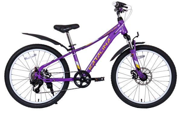 Велосипед TECH TEAM Katalina 20 disc (20" 7 ск. рост 11") фиолетовый (NN014692)