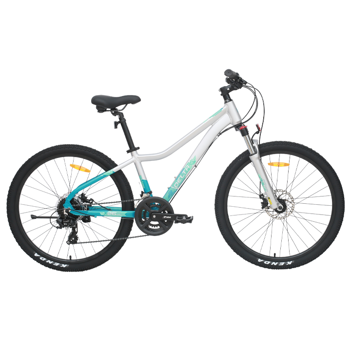 Велосипед TECH TEAM Delta 26 disc (26" 16 ск. рост 14") серебряный (NN013649)